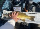 IMG_0736.jpeg