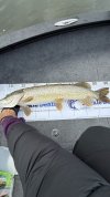 IMG_5737.jpeg
