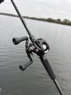 IMG_7294.jpeg
