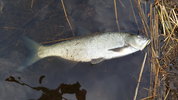 20180427_191923.jpg 20180427_191923.jpg
