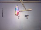 WP_20180429_20_18_37_Pro.jpg