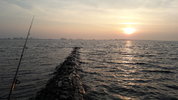 20180526_060642.jpg