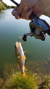 20180708_182912.jpg