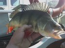 04-25-09_0952.jpg