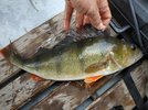 IMG_20180710_140154_861.jpg