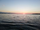 IMG_20180724_050835.jpg