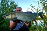 20180807_082834.jpg
