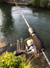 upload_2018-8-19_16-47-21.png upload_2018-8-19_16-47-21.png