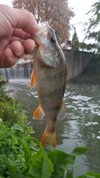 20180908_070934.jpg 20180908_070934.jpg