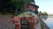 20180908_084357.jpg 20180908_084357.jpg