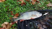 20180908_065827.jpg 20180908_065827.jpg