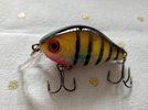 IMG_20181018_114041.jpg