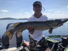 Pike 2.jpg Pike 2.jpg