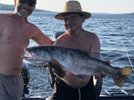 Seatrout 2.jpg Seatrout 2.jpg
