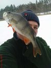 eisbarsch_1.jpg