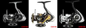 Daiwa_LT_2019.jpg