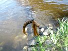 IMG_20140503_180956.jpg