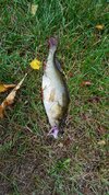 20171003_181411.jpg