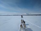 IMG_20180405_104939.jpg