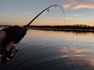 IMG_20190225_181506.jpg