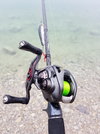 20190310_114730.jpg