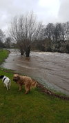 IMG-20190316-WA0001.jpeg IMG-20190316-WA0001.jpeg