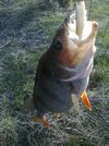 07042010010.jpg