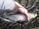 dsc00715.jpg
