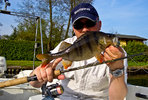 bass_king_201003.jpg