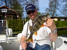 bass_king_201002.jpg