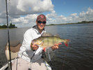 47cm__freddie_shad_sunset.jpg