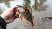 20181030_132748.jpg