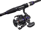 Daiwa Prorex LT D 3000 C.jpg