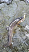 20190407_084730.jpg