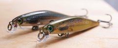 rapala_shadow_rap_7cm.jpg