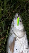 20190514_203231.jpg 20190514_203231.jpg