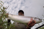 Bildschirmfoto 2019-06-06 um 10.16.14.png Bildschirmfoto 2019-06-06 um 10.16.14.png