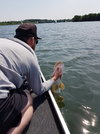 20190622_121556.jpg 20190622_121556.jpg