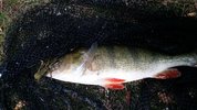 20190711_123459.jpg