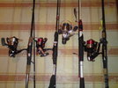 dsc00438_137.jpg