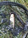 IMG_20190727_060621.jpg