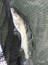 IMG_5144.JPG IMG_5144.JPG