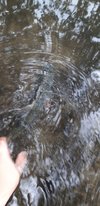 20190804_103400.jpg