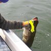 20190814_190547.jpg 20190814_190547.jpg
