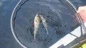 IMG-20190806-WA0037.jpg IMG-20190806-WA0037.jpg