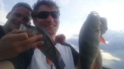 IMG-20190806-WA0047.jpg IMG-20190806-WA0047.jpg