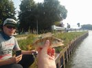 IMG_20190825_165401_01.jpg