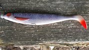 20191001_085935.jpg