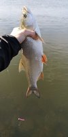 IMG-20191005-WA0008.jpeg