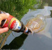 Angeln-mit-Amstel-Bier-Niederlandisches-Bier-Fisch.jpg